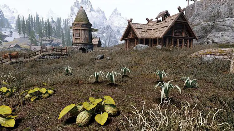 Where Do You Get Leeks in Skyrim?