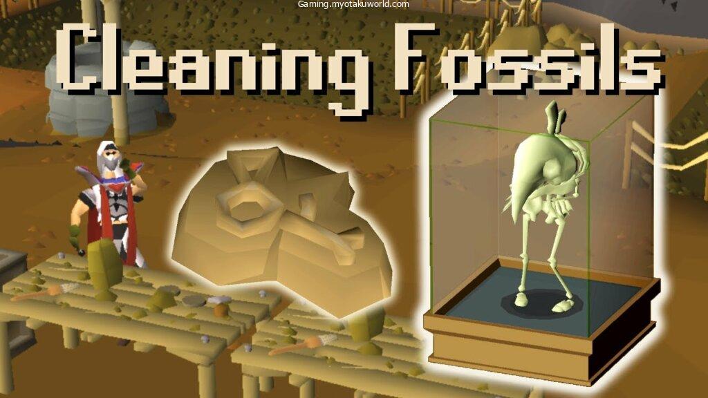 Fossils For & How to Use Them in OSRS