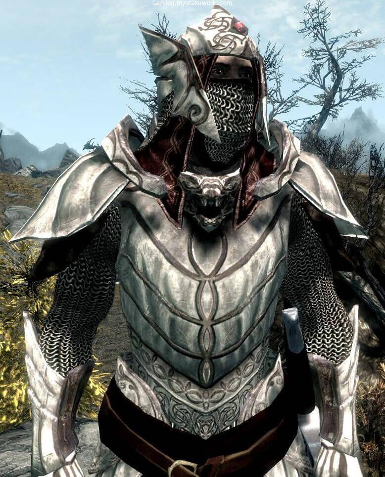 Dragonbone Armor
