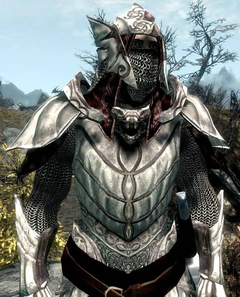 Dragonbone Armor