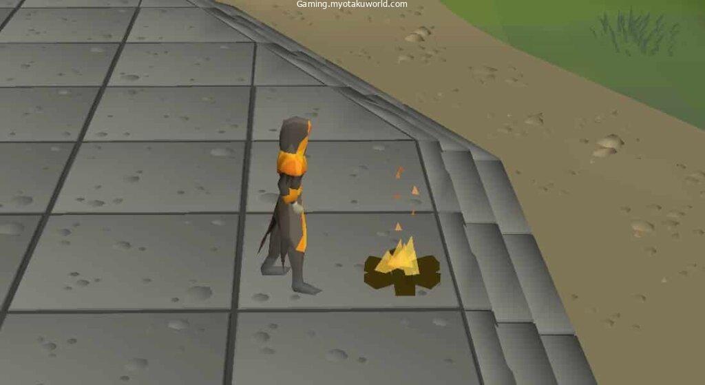 Purpose of Firemaking