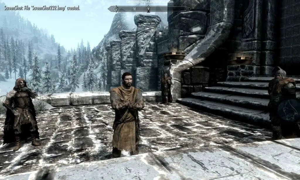 Stormcloak Armor