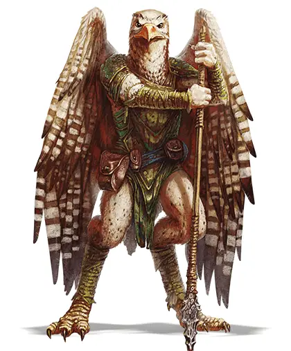 Aarakocra 5e 